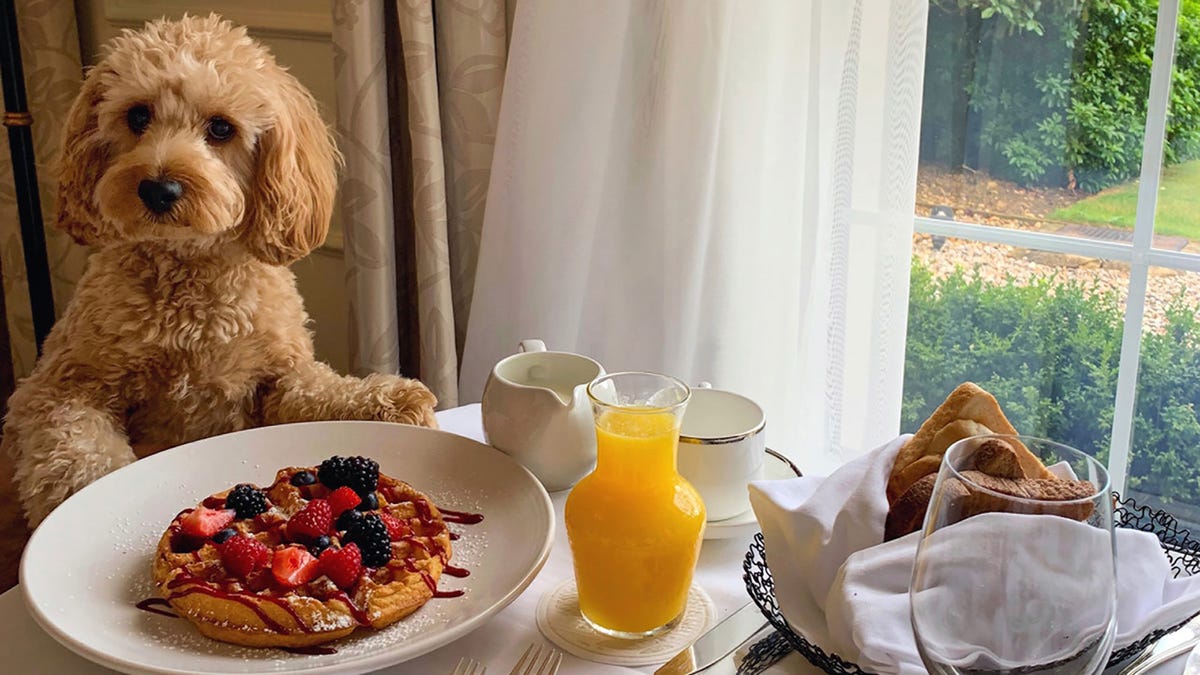 Motherâs Day at a charming inn
